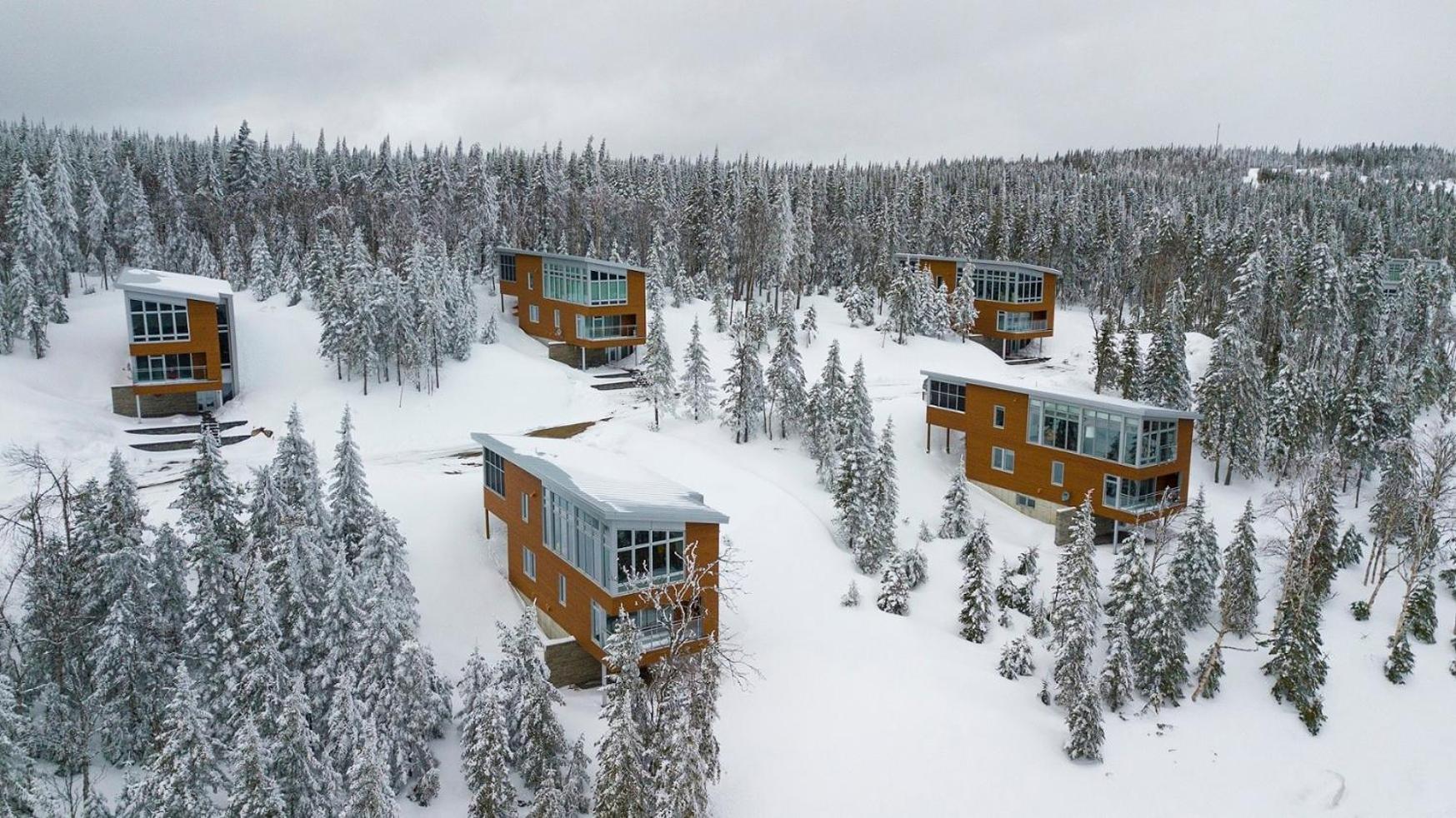 Les Chalets Du Massif De Charlevoix 프티트-리비에르-생-프랑수아 외부 사진